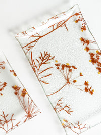 כלי זכוכית בוטניים