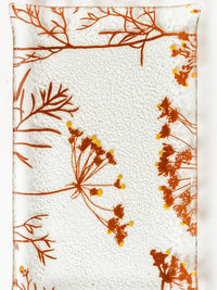 כלי זכוכית בוטניים