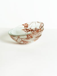 כלי זכוכית בוטניים