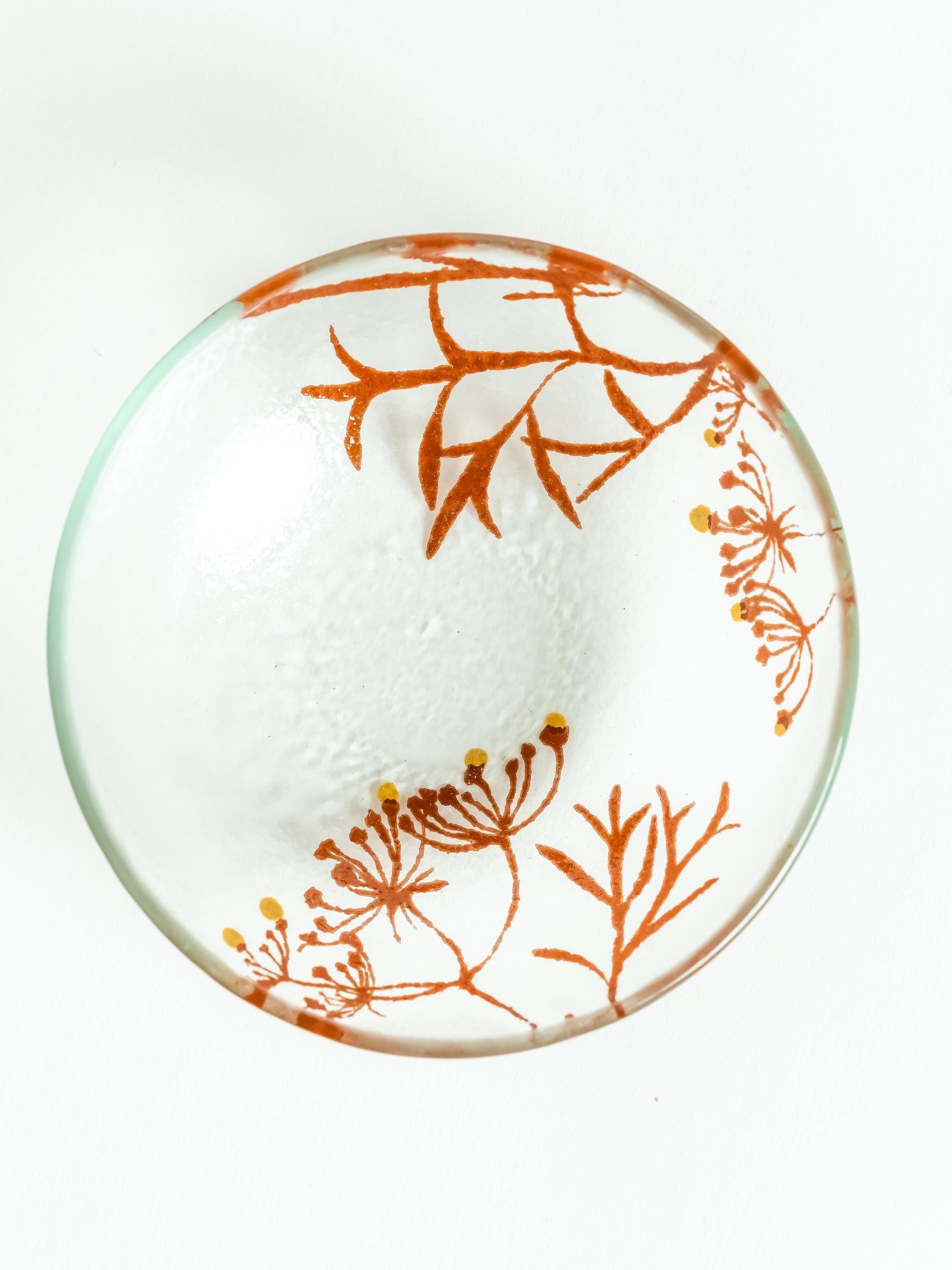 כלי זכוכית בוטניים