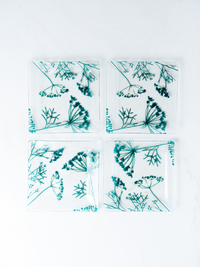 רביעיית צלחות מזכוכית ריבועיות