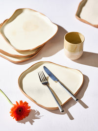 צלחות אמורפיות גדולות